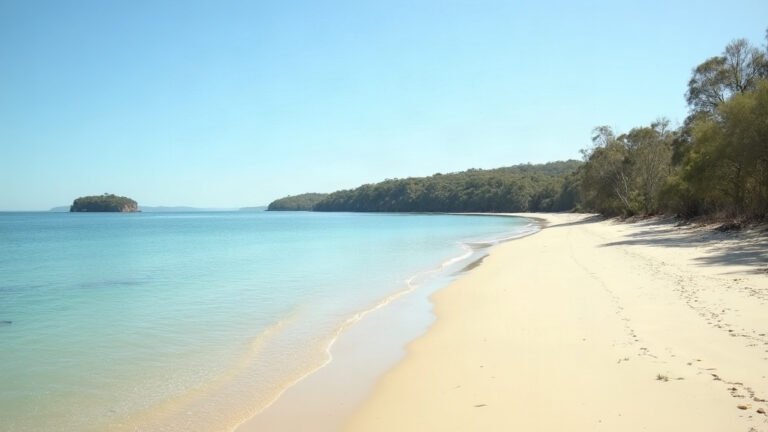 Calm turquoise water and a sandy shoreline backed by eucalypt bushland on Moreton Bay in south east Queensland